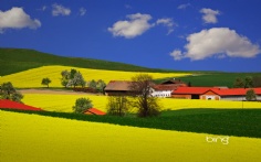 BloomingField1920x12004-12-2011 1_21_24 PM Bing Desktop